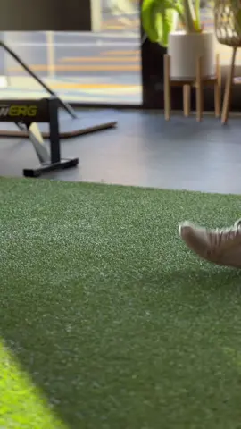 Comment Below for Modifications ⬇️ #deepsquats #shoulder #shouldermobility #shouldermobility #shoulderflexibility #hipstretches #hipstretches #hipflexors #legday #mobilityroutine #fitnessforall #fitnessforbeginners #fyp 