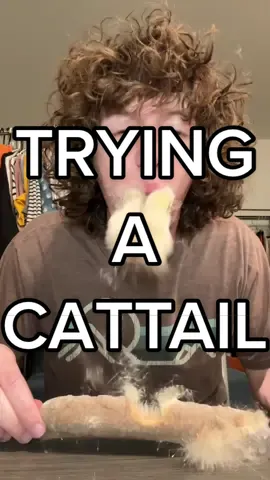 TRYING A CATTAIL @tybottofficial 