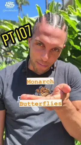We are supposed to change! 🐛>>🦋 #monarchbutterfly #butterfly #animals #fastfactsfriday #learning #education