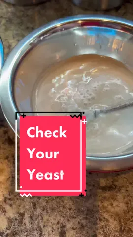 Checking Your Yeast #cookingwithbamaw #foodtoktv #10secondcookingschool 