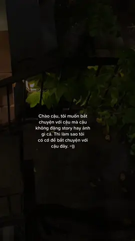 #hongquang02 #promisedaxix 