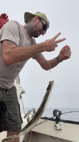 I love halibut fishing, sustainable hook, and line fishing Santa Cruz, California  #fishing #fish #fishtok #fisherman #sustainable #fishinglife #fishingtiktoks #fishcontent #crab #crabs #eel #fyp #santacruz #nageo #nationalgeographic #oceanlife #sushi #fishingrod #ocean sea #screammovie 