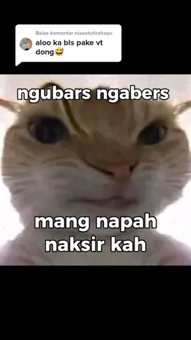 Membalas @niaastutirahayu Allo🙌