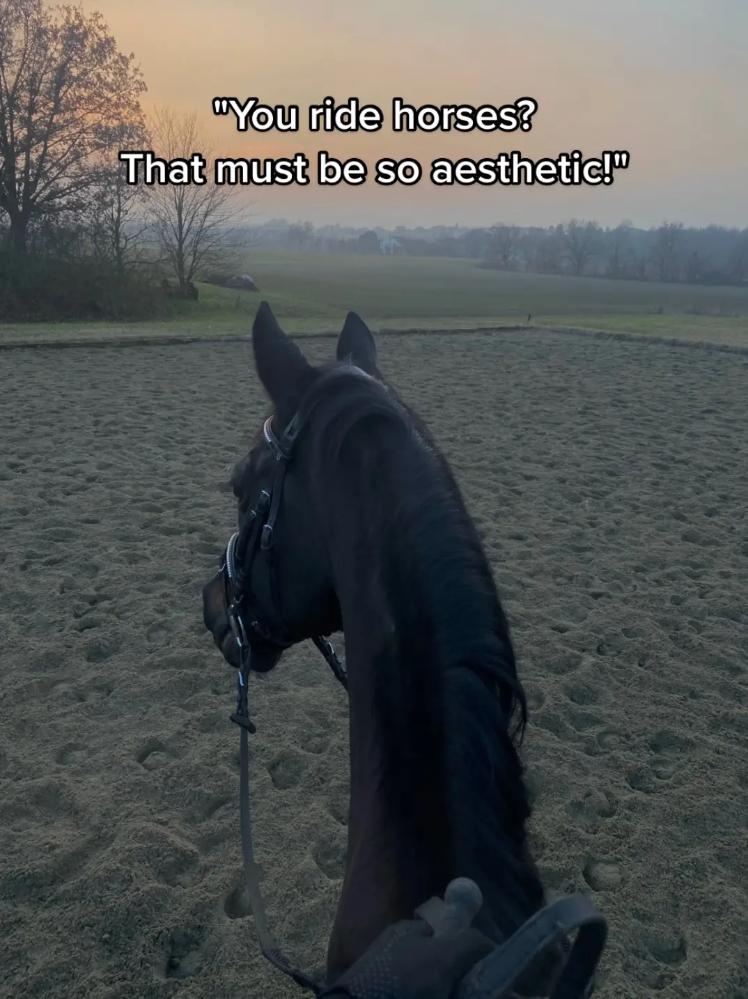 👌🏼💀 #greenscreen #CapCut #fyp #perte #equestrian 