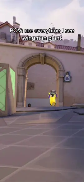 Bru i aint wanna shoot the lil dude #Valorant #valorantgaming #valorantclips #riotgames #fyp #foryou #fypシ #gecko