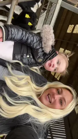 We went to see the cows today and made milkshakes 🥛🐄 photos on IG! #fyp #viralvideo #foryoupage #daughter #