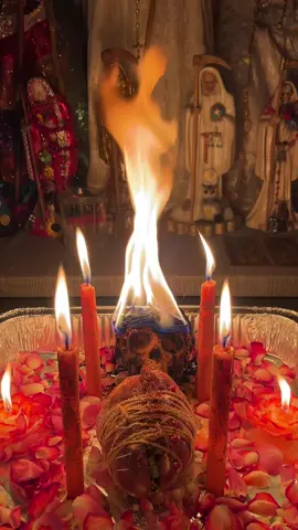 Animal heart Obsession spellwork for client | To book a spell with me you can message me on tiktok or message my ig link in tiktok bio! #bruja #foryoupage #witch #brujeria #witchtok #witchcraftthings #spellwork #fyp #witchesoftiktok #ritual #hireawitch #witchforhire #hechiceria #lovespell #lovespellsthatwork #obsessionspell #obsessionspellandlovespell #lovemespell #thinkofmespell #lovemagick #candlemagick 