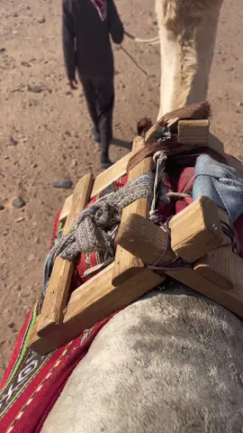 #الخنفه_خنصر_الهوج 