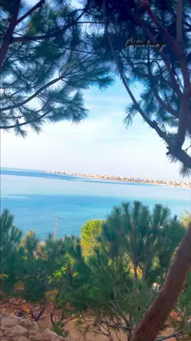 @CuteChery7🦋 يا حبيبي#وائل_جسار #بدي_شوفك_كل_يوم_ياحبيبي #foryourpage #اكسبلور #explore #fyp #مجرد_ذوق #تصويري #تصميمي 