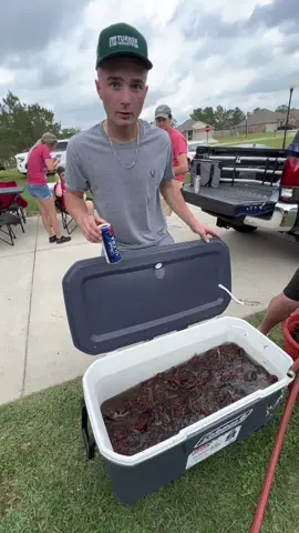 Louisisna crawfish #crawfish #fyp #louisiana 