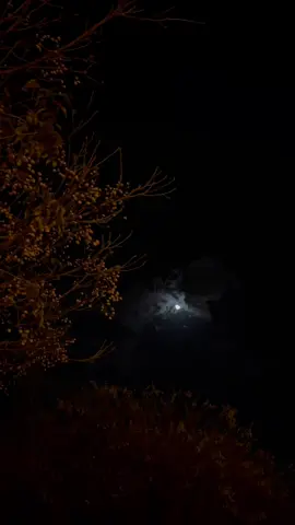#الليل_واخره #الليل #القمر #تصميم_فيديوهات🎶🎤🎬 