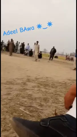 Shaheen Aly#foryoupage #fypシ #fypシ゚viral #foryoupage #foryoupage #fypシ #fypシ゚viral 
