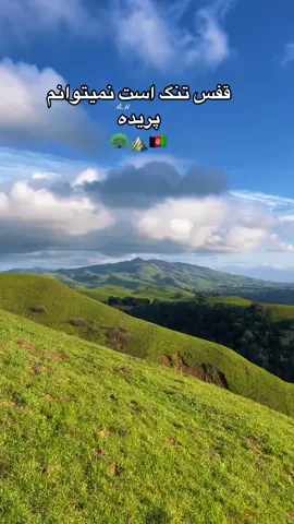 #قفس #تنگ #است #نمیتوانم #پریده #وای #مادر #دور #رسیده #😭 #مادرم_همه_زندگیم #مادران_افغان #مادرم_تاج_سرم #زندگی #کوهنوردعایشه #دخترافغان #افغان #افغانستان #افغانی_تیک_تاک  #بچه_افغان #افغانستان_تیک_تاک #افغانهای_مقیم_امریکا 🇦🇫 #🦚 #⛰ #🕋 #🕌 #🤲🏻 #بهترین_تیک_تاکر_های_افغانستان  #دخترکابل #تاجک__اوزبگ__پشتون__هزاره__ترکمن   #hijabi #hijabihiker #Aishahijabihiker #🇦🇫 #afghan #afghanistan #afghanboy #afghangirl #fyp #viral #trending #tiktok #afghantik #afghantok #afghantiktok