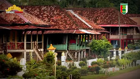 SANGUN KHADU TANEKHA NE KHENA🙏#lampungpesawaran😎 #tiktoklampung 