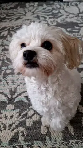 can i have a snack ?