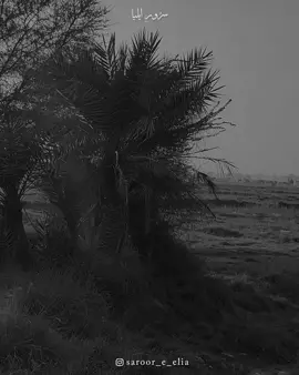 Jaun Elia 🔥🥀 #jaunelia #poetry #saroor_e_elia #jaun_lines #jaunelia📝 #poetry🥀 #aesthetic #urdupoetry #poetrystatus #500k #viralvideo #trend #fyp 