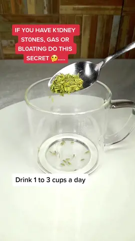 GET RID OF K1DNEY ST0NES AND BL0ATING WITH THIS POWERFUL NATURAL FENNEL SEEDS TEA RECIPE  🍵 🙂#fennelseeds #bloatingremedies #healthydigestion #naturalremedies #tiktokwellness #wellnesstips #guthealth #digestivehealth #healthyliving #fyp #learnfromeliyahmashiach #eliyahmashiach 