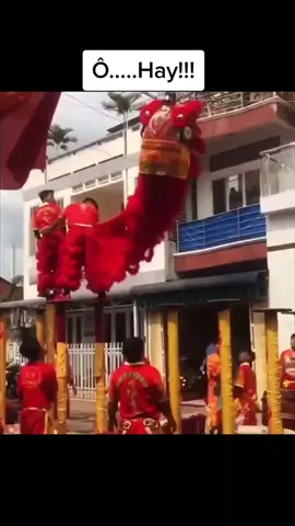Ô.... hay quá anh Lân ơi... #landen #mualan #lansurong #mualansurong #mualansurongvietnam #mualansurongtrungquoc 