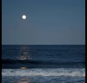 #lyrics #lyricsvideo #fy #fyp #fypシ #bryanadams #pleaseforgiveme 