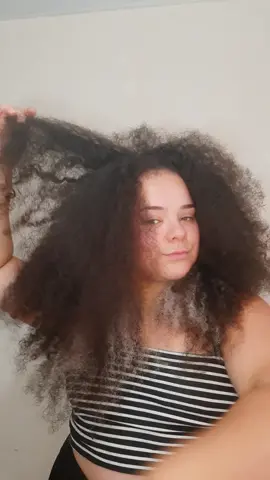 Vamos normalizar o cabelo armado hahaha #cabelocrespo #cabelocacheado #cabelo #hair #leaozinho #juba #style #hairtutorial #cabelonatural #cabelosemtransição #cacheada #crespa #meme #humor 