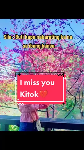 LABAN. 🍂 only dog lovers can relate 💔 #imissyou  #dogpassedaway #Love #runfree #foryoupage #furbaby #fypage 