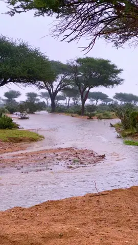 #امطار #مطر #تصويري_تصميمي جبال قطن 