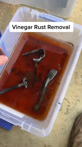 How te remove Rust let them sit for a week or so if you have the time