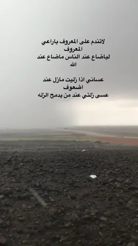 #شيلات_A_ذووق 