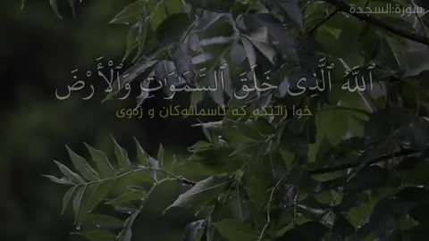 قورئانی پیرۆز خۆشترین دەنگ دڵتان ئارام کەنەوە بە 48سانیە🖤💚
