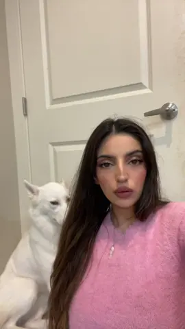 Ava looks guilty af  #screamingava #fyp 