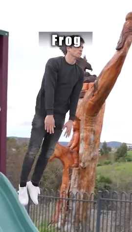 How different animals go down a side 😂 Part 1 #animals #funnyvideos 