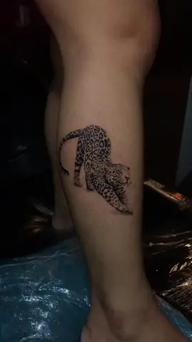 🐯  #f #feiradesantana #fyp 