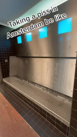 #amsterdam #netherlands #europe #urinal #travel #traveltiktok 