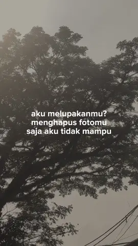 fotonya masih tersusun rapih digaleri :)