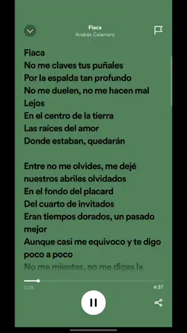 Flaca | Andrés Calamaro #music #rock #spotify #letras #lyrics #andrescalamaro #calamaro 