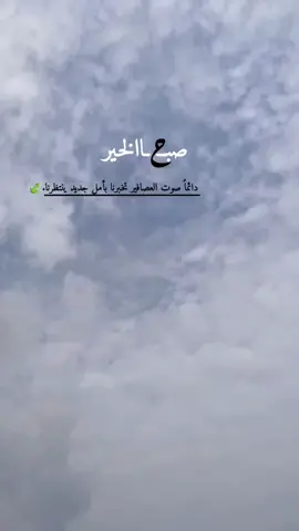 صوت العصافير يشعرك بالحياة.# صباح الخير 