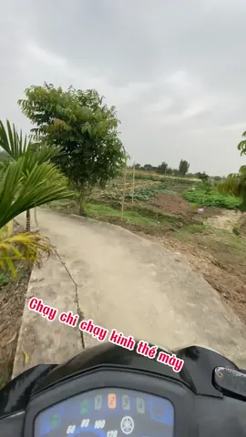 Chạy thế này có mà chớt 🫣🫣