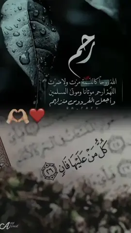 #كل_من_عليها_فان😔💔 #احمد_العجمي #اللهم_اسالك_الثبات_حتى_الممات #قران #قران_كريم #CapCut 