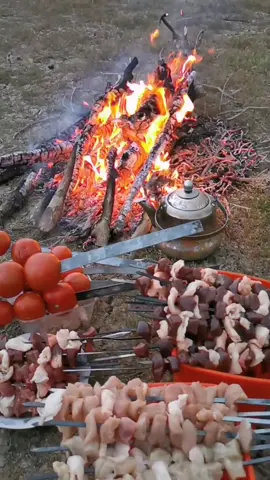 سهمكم العافية ☺️😋☺️#اهوار_الچبايش #كشتات #البر #العراق🇮🇶 