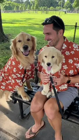 When you get your dog a puppy 🥰