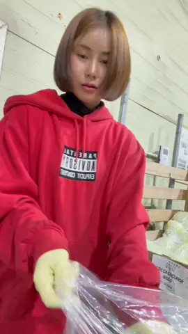 ว่าฉันยังไม่มีใคร ได้ยินไหมว่าฉันโสด #อาราไบโรงผัก🇰🇷🇹🇭 #29y #วัยรุ่นกําแพงเพชร💎 