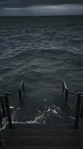 #meme #funnyvideos 