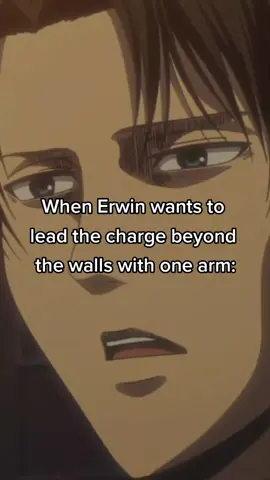 #aot #AttackOnTitan #anime #animememe #erwin #levi #attackontitanseason4part3 #snk #shingekinokyojin 