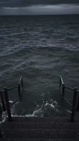 #CapCut Bo May Dit Me may luon -))))))))#xuhuong #meme #memes #haha #cuoibebung #hâha #troll #haohan 