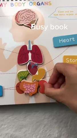 Toddler’s good playmate———Busy busy book. You’re worth it !#fyp #busybook #momtok #momfinds #toddlersoftiktok#toddlerlearningbinder #toysfortoddler #forkidslearning #toddleractivities #busybabybook #humanbody #humananatomystudy #humananatomyforkids 