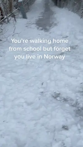 #for #foryou #fyp #norway #viral #snow #foryourpage 