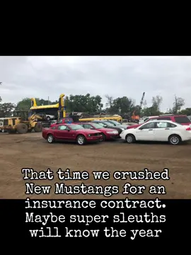 That time we were contracted by insurance to crush new Ford Mustangs.  The super sleuths should know the year of the cars.  Typically by the time the case closes the cars have sat for a year.  It goes straight to the crusher if it is deemed unsafe for auction and the insurance company paid in full.  #fordmustang #crushingthings #mustangsoftiktok #mustangsofinstagram #thatonetime #autorecyclers #autorecyclingtiktok #junkyardlife #junkyardjeff #fyp 