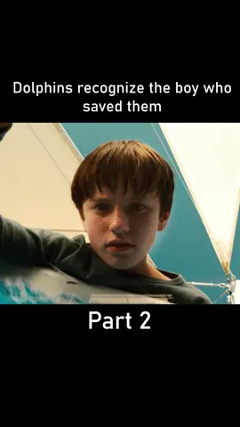 Dolphins recognize the boy who saved them#foryou #fyp #film 