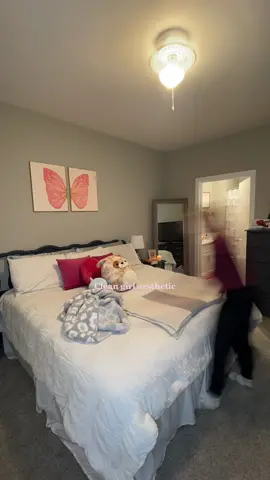 A clean room and fresh sheets >>>😍  #cleaning #unpack #cleanroom #freshsheets #mondaymotivation #CleanTok #barefootdreams #aesthetic #cleangirlaesthetic #fyp #explore #cleaningvideo #organize #cleaninghacks 