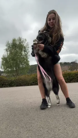 She almost took me for a walk in the beginning 